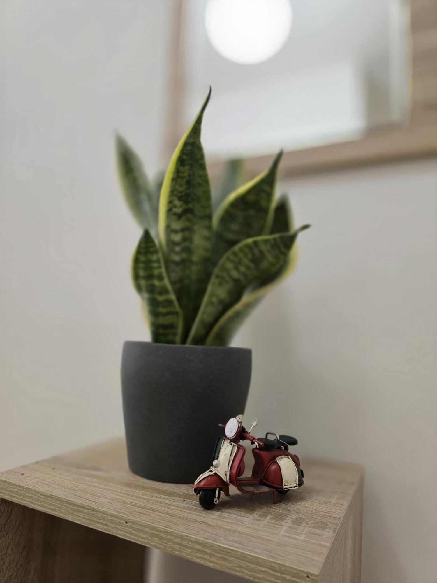 Aureum Loft Róma Kültér fotó